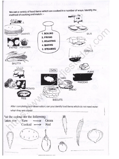 cbse-class-3-evs-what-is-cooking-worksheet